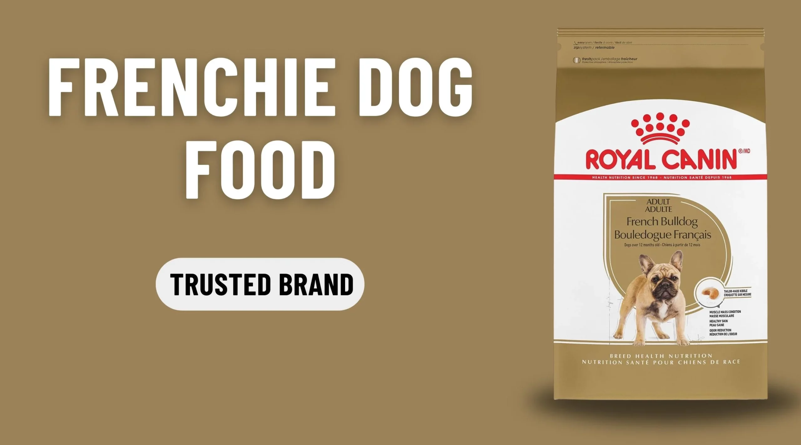 frenchie dog food