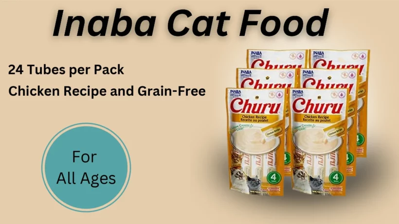 inaba cat food