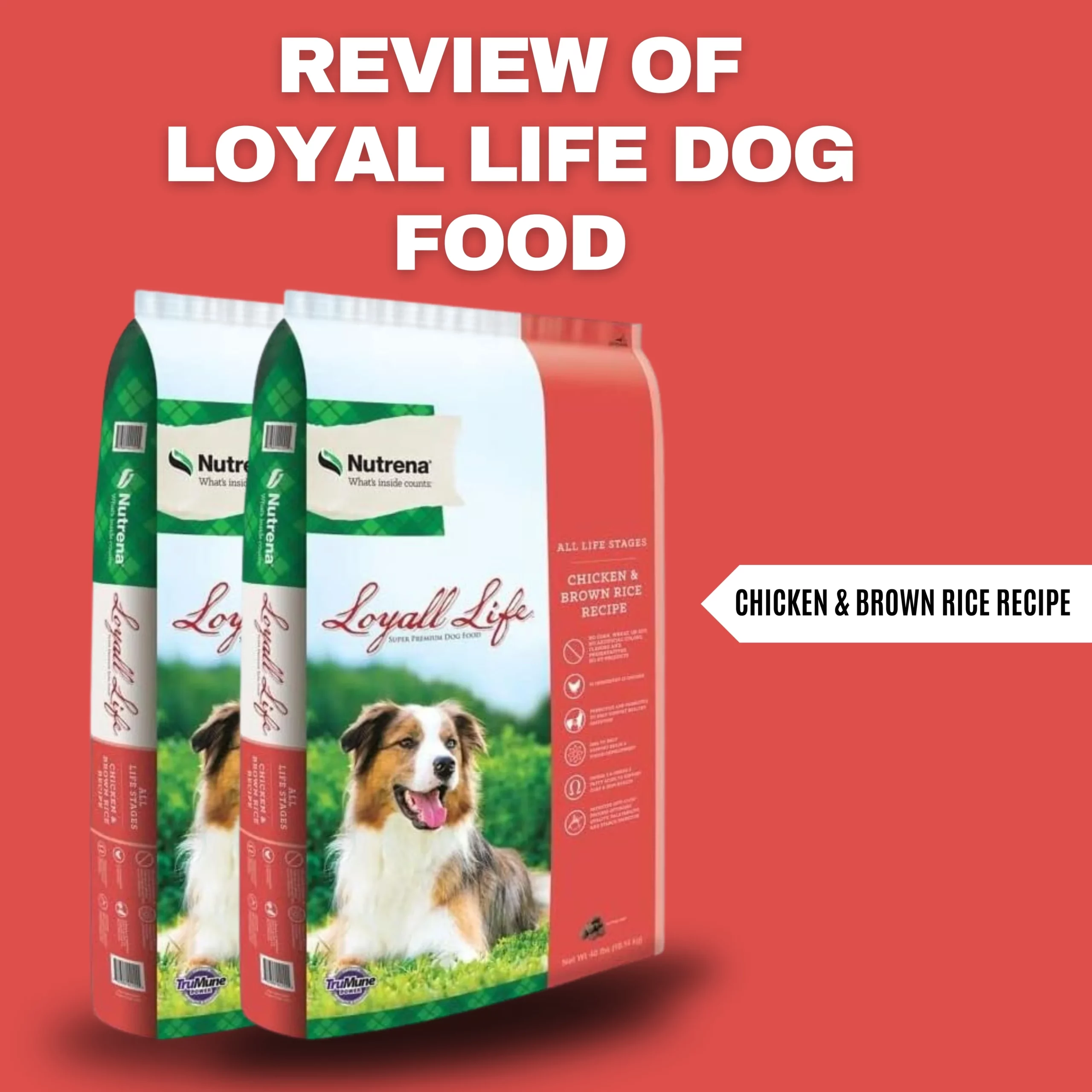 loyal life dog food 