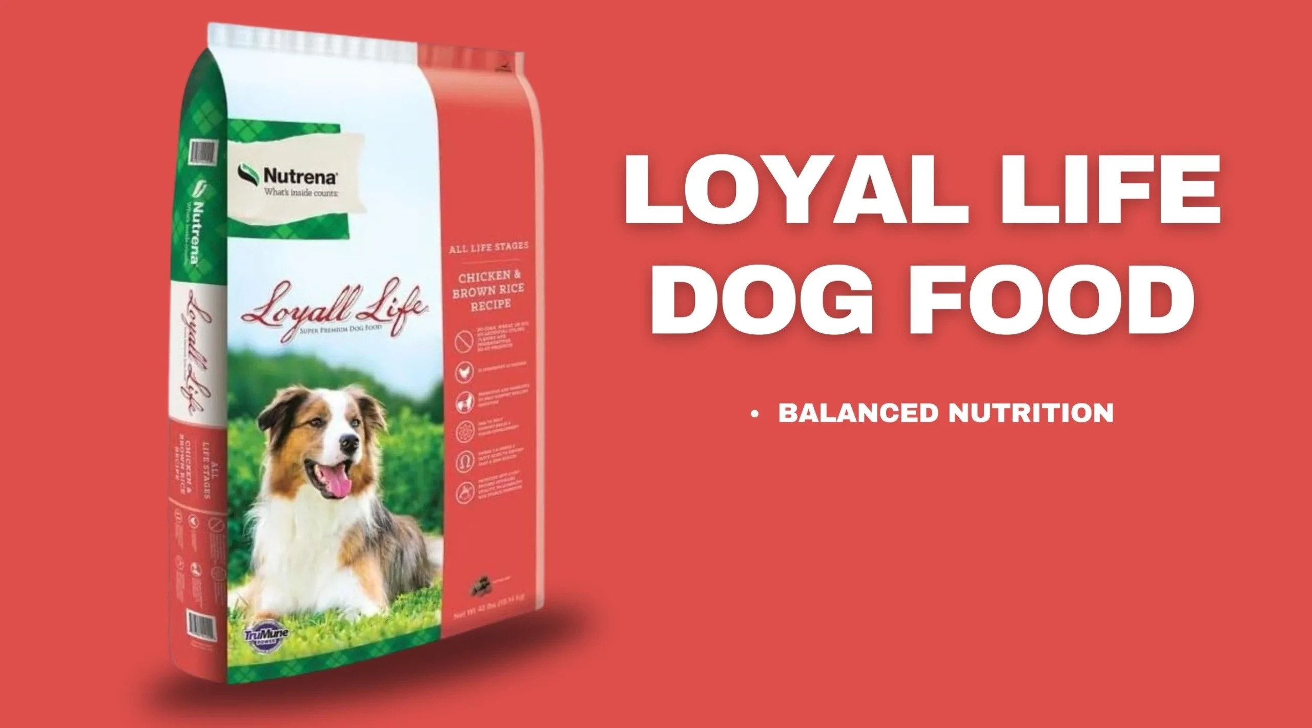 loyal life dog food