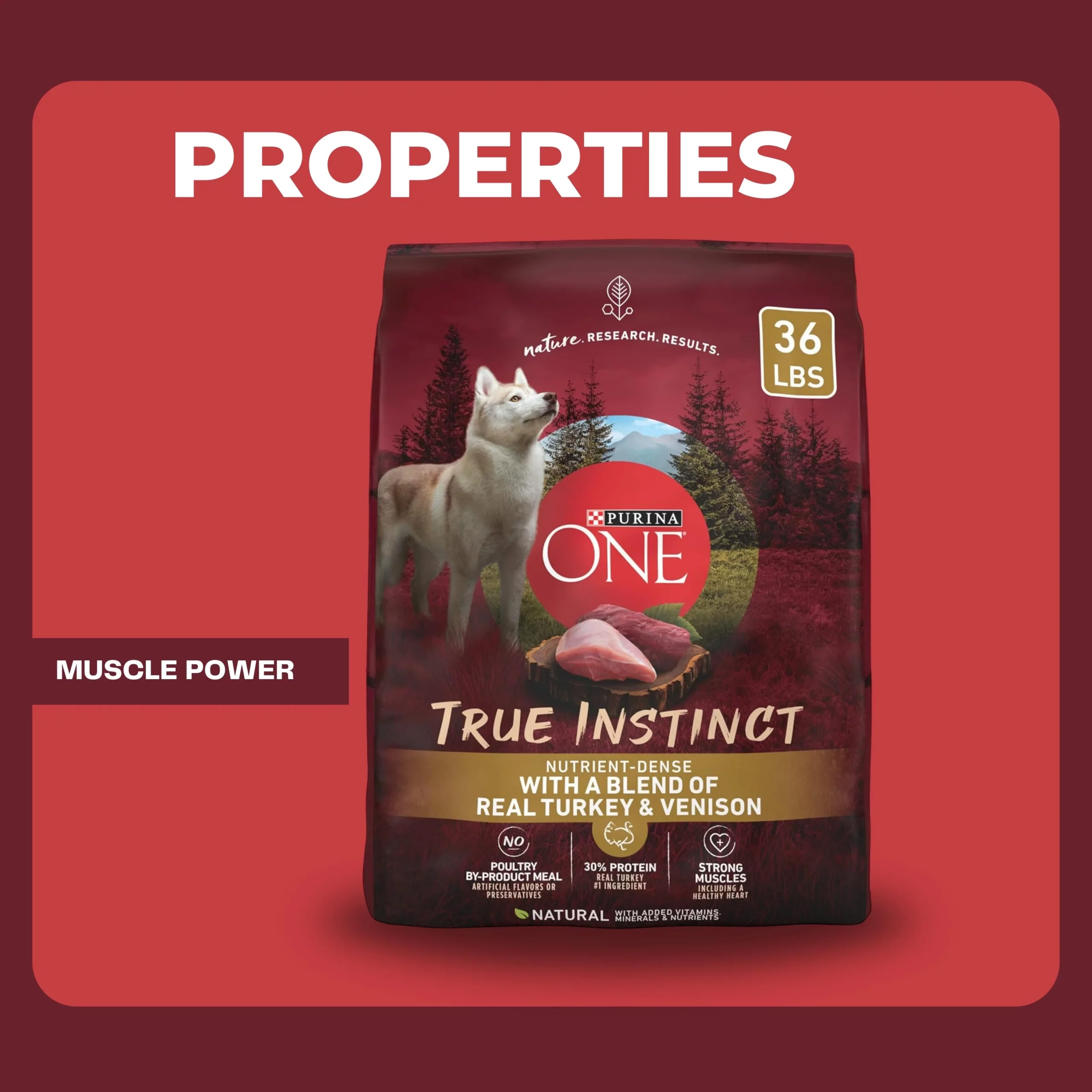 purina one dog food review 