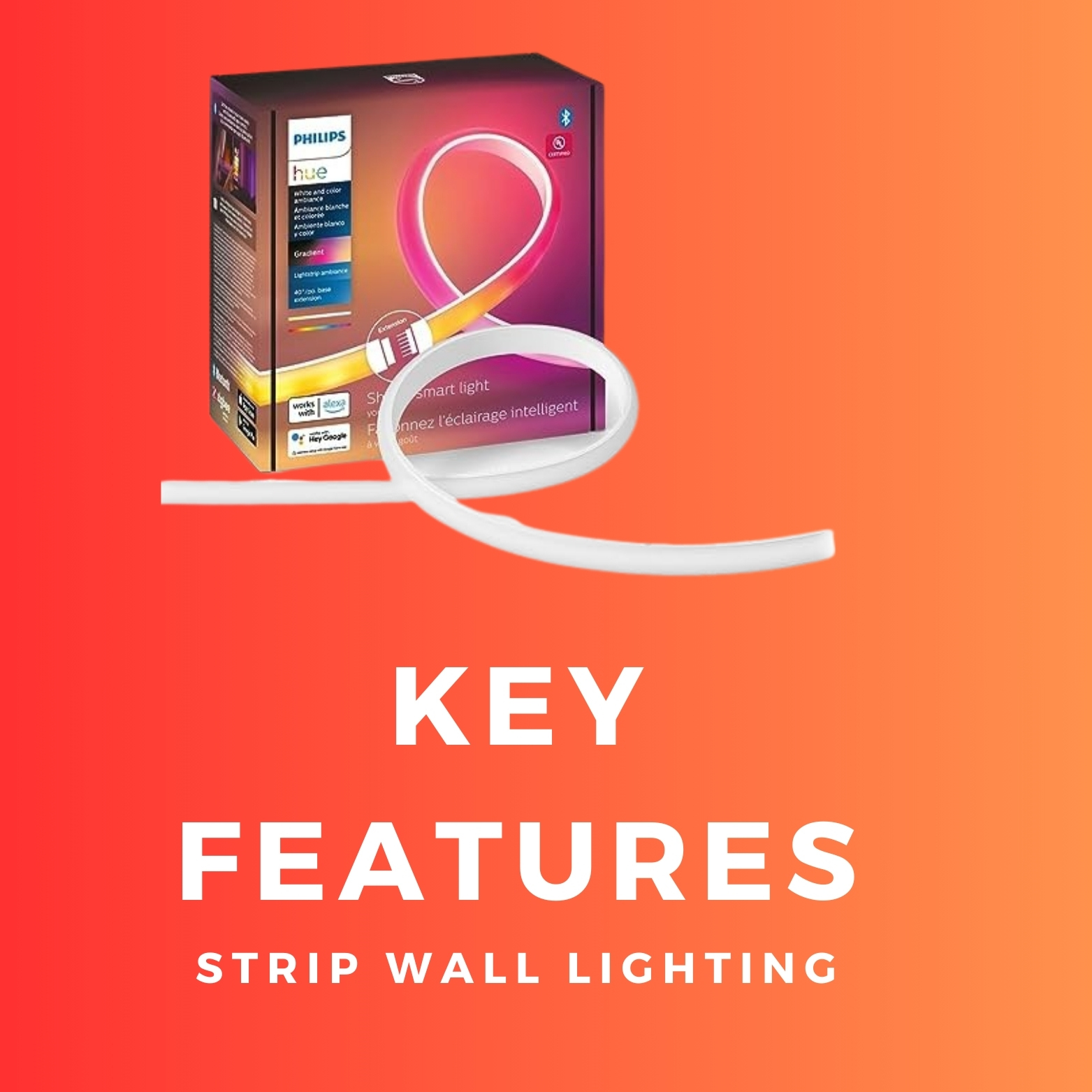 Wall LED Strip Lighting