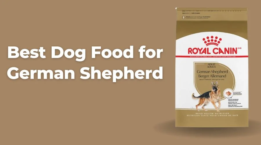 Best Dog Food for German Shepherd