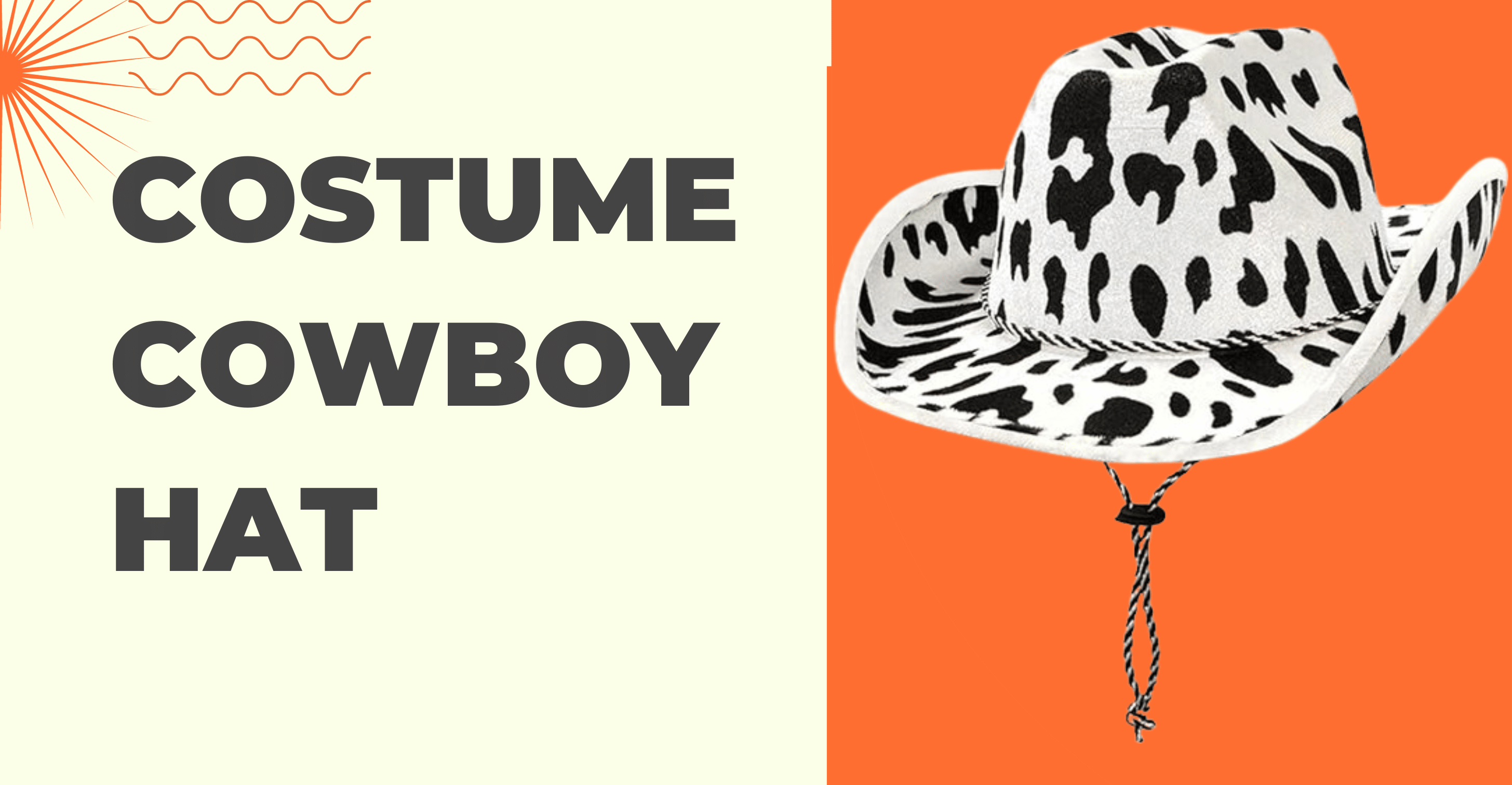 Costume Cowboy Hat