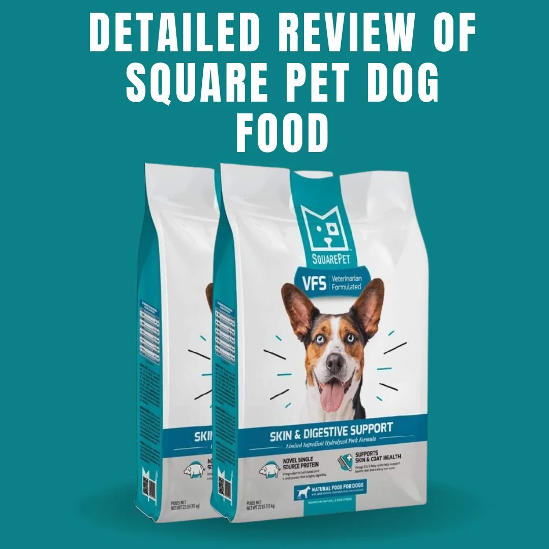 Square Pet Dog Food