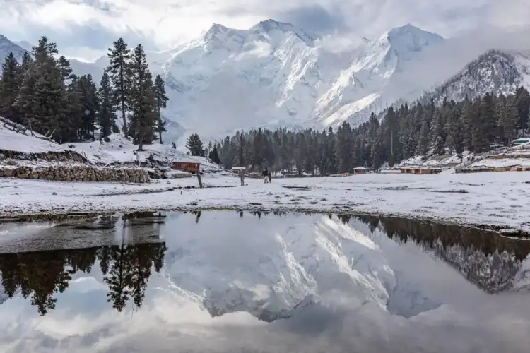 Fairy Meadows Tour Packages